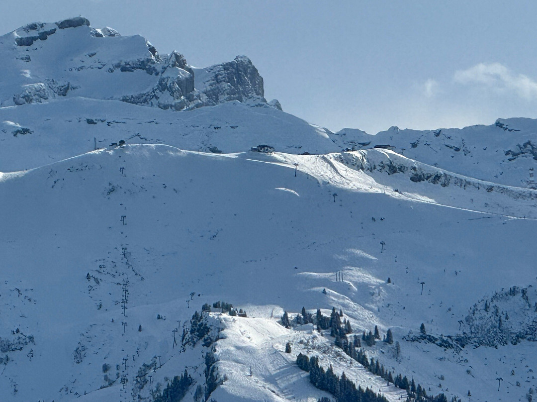 ZigZag Ski School景点图片