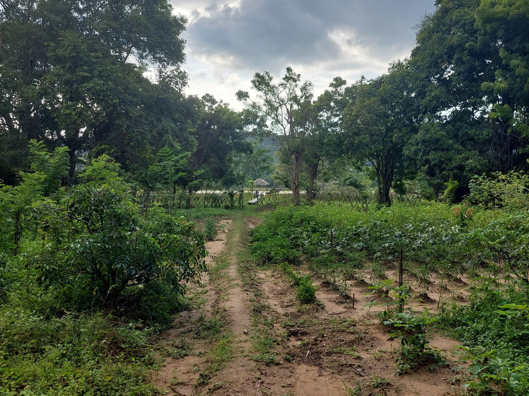 Athena Lake by Seedevi主图