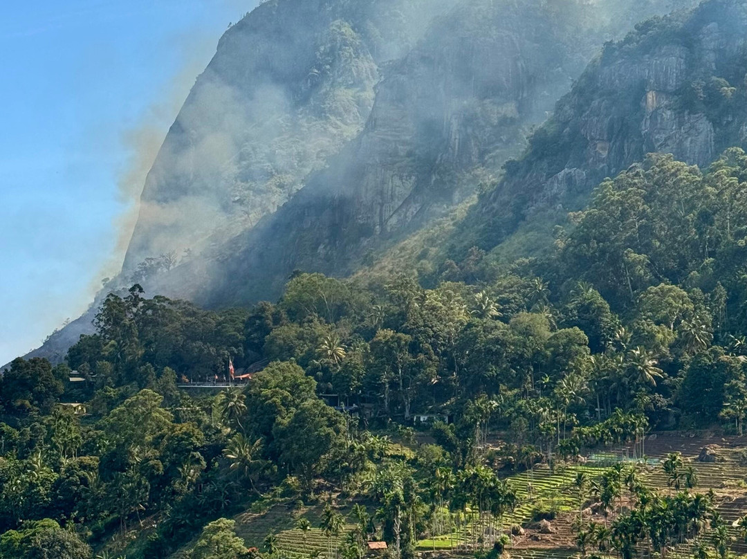 V Travel Sri-Lanka Excursions景点图片