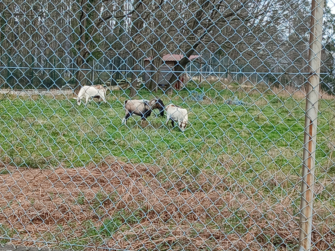 Monte Artxanda-毕尔巴鄂必去景点