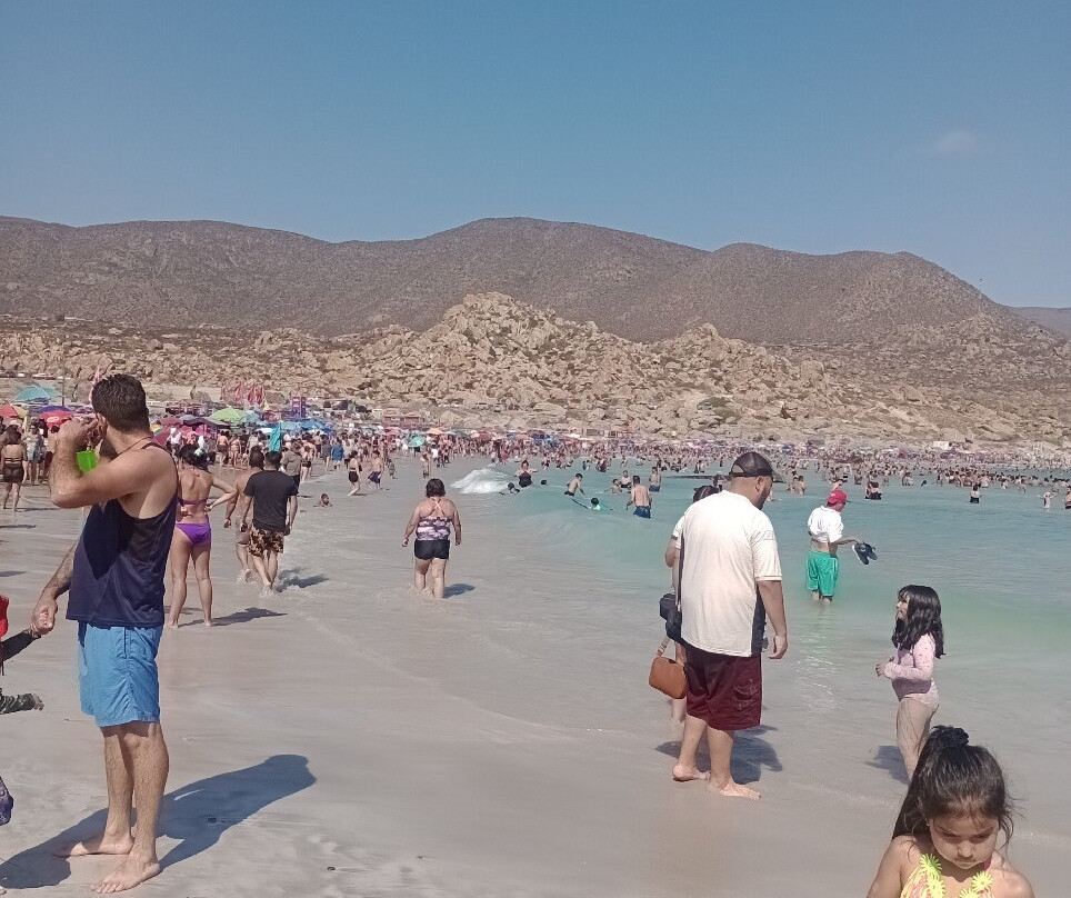 Playa Totoralillo-Coquimbo必去景点