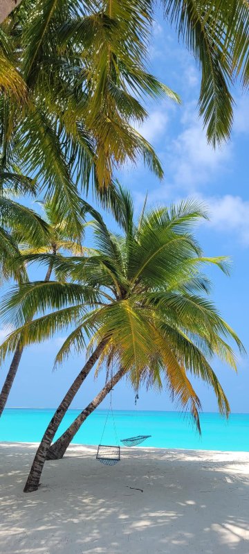 Waadhee Inn Vashafaru-泳池