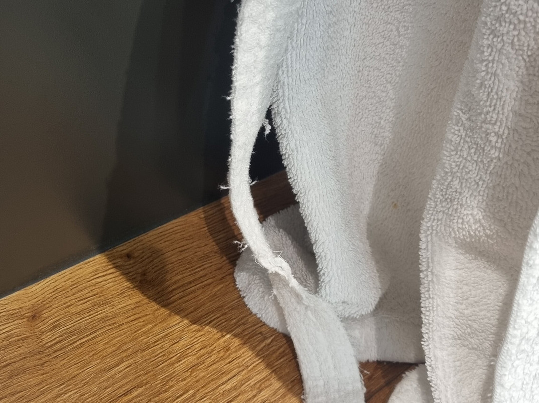 Le Petit Coq aux Champs主图