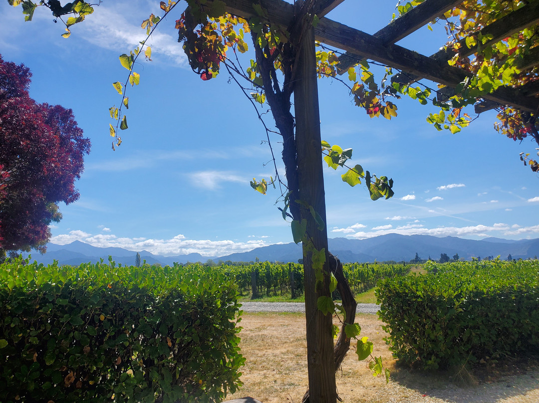 FROMM Winery景点图片