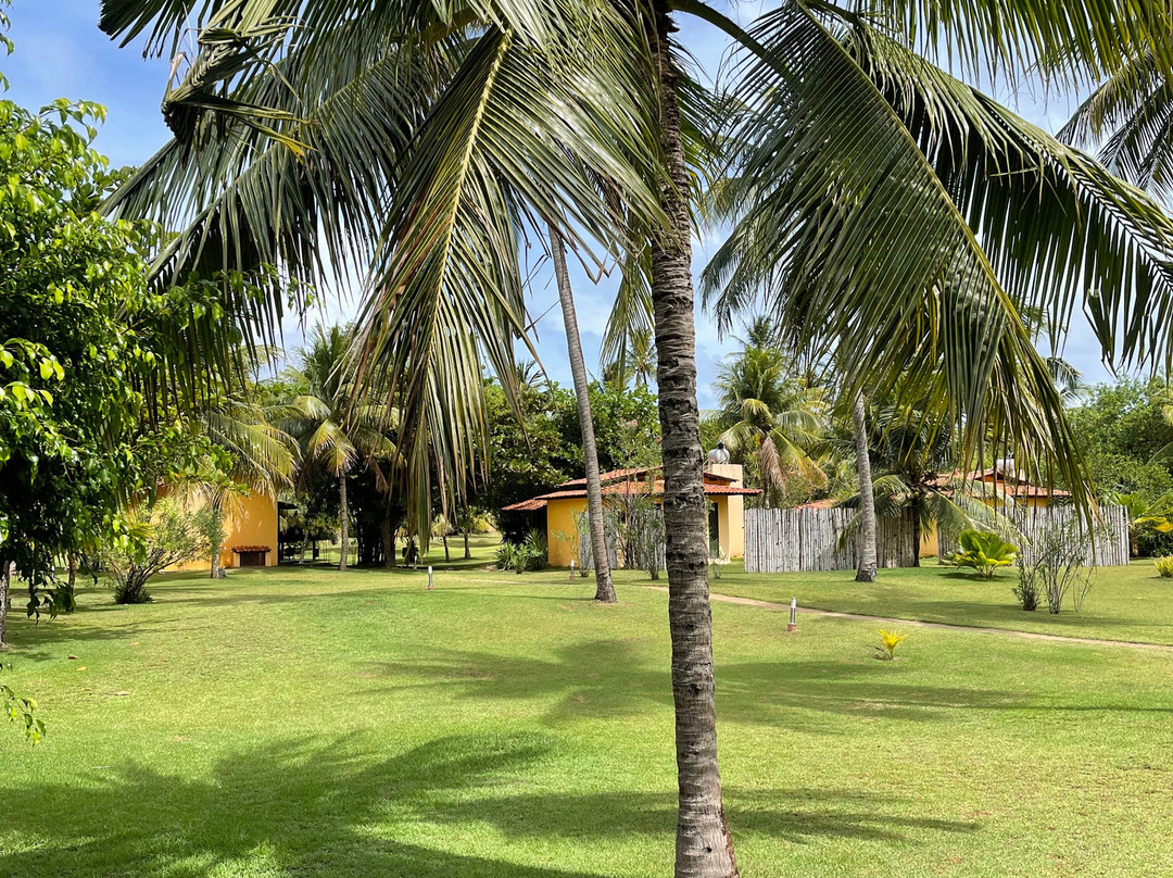 Pousada Cote Sud主图