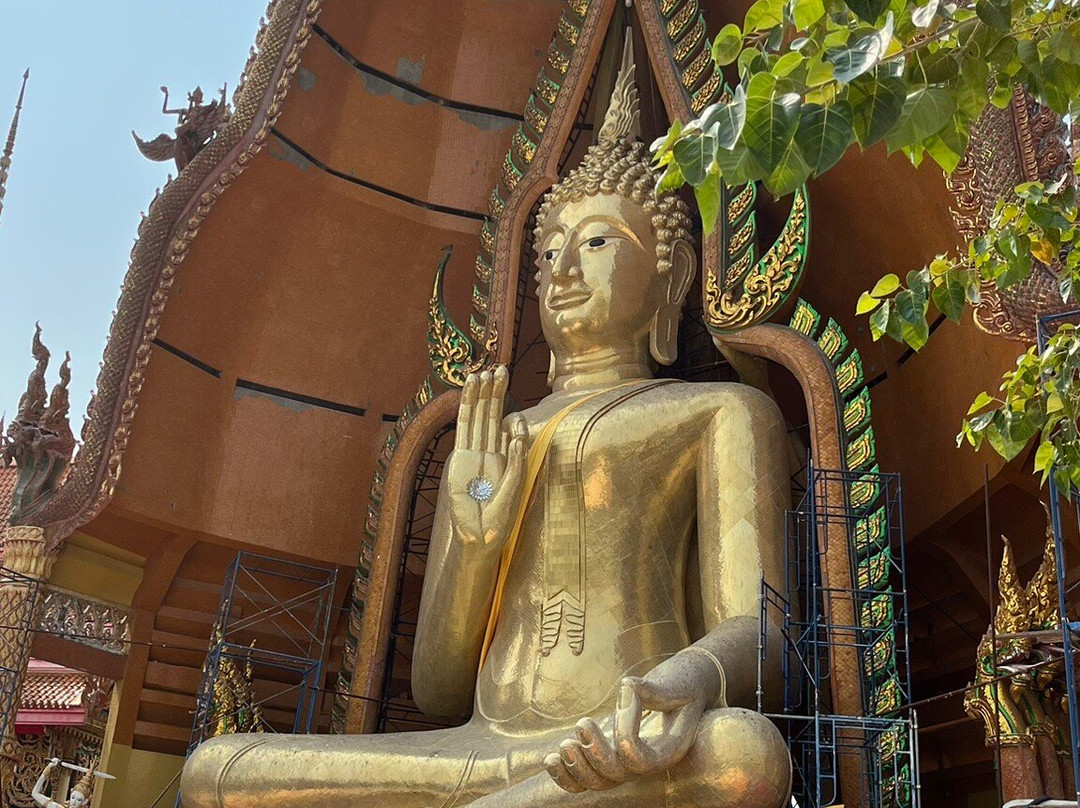 Wat Tham Sua景点图片