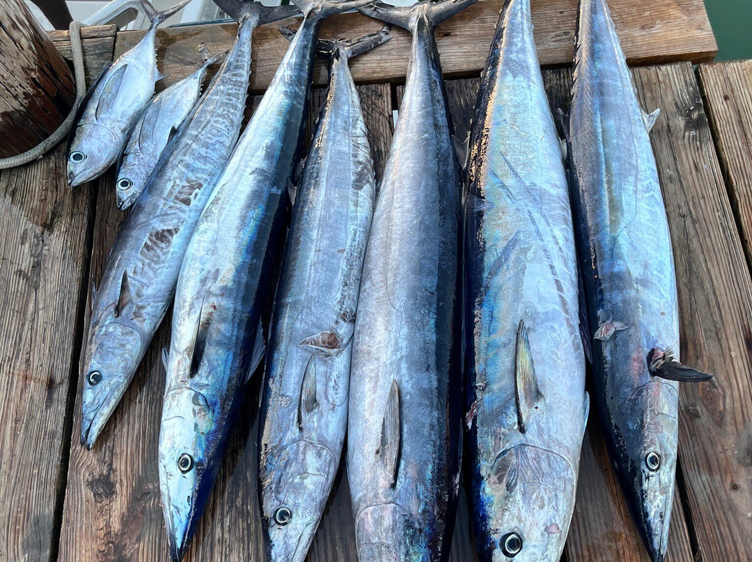 Mystic Amara III - Deep Sea & Bottom Fishing Charters-Jolly Harbour必去景点