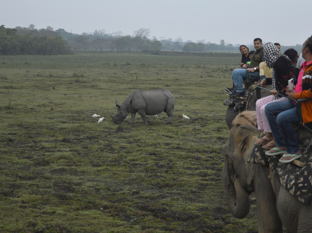Kaziranga National Park-卡齐兰加国家公园必去景点