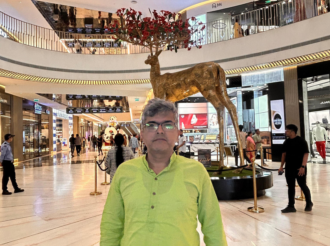Palladium Ahmedabad景点图片
