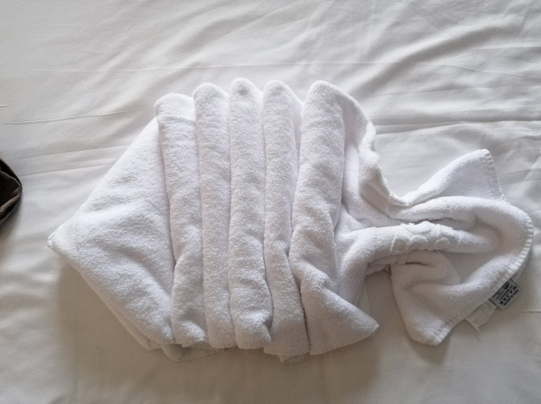 Hotel SPA Benalmádena Palace主图