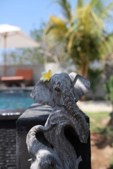 阿卡贺小屋酒店主图