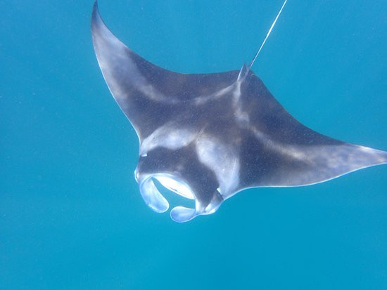 钻石岛泰达富士海滩和水上别墅酒店主图