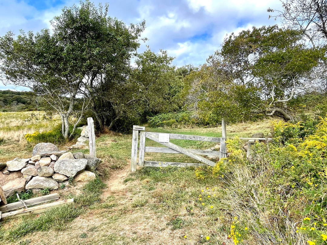 Nathan Mott Park-新肖勒姆必去景点