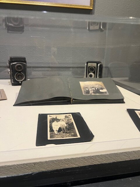 Osceola County Welcome Center and History Museum-基西米必去景点