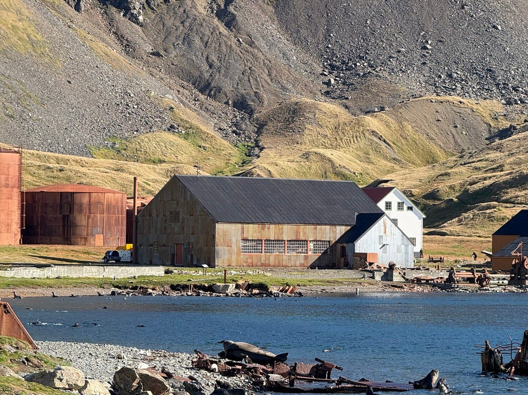 Grytviken Whaling Station-Grytviken必去景点