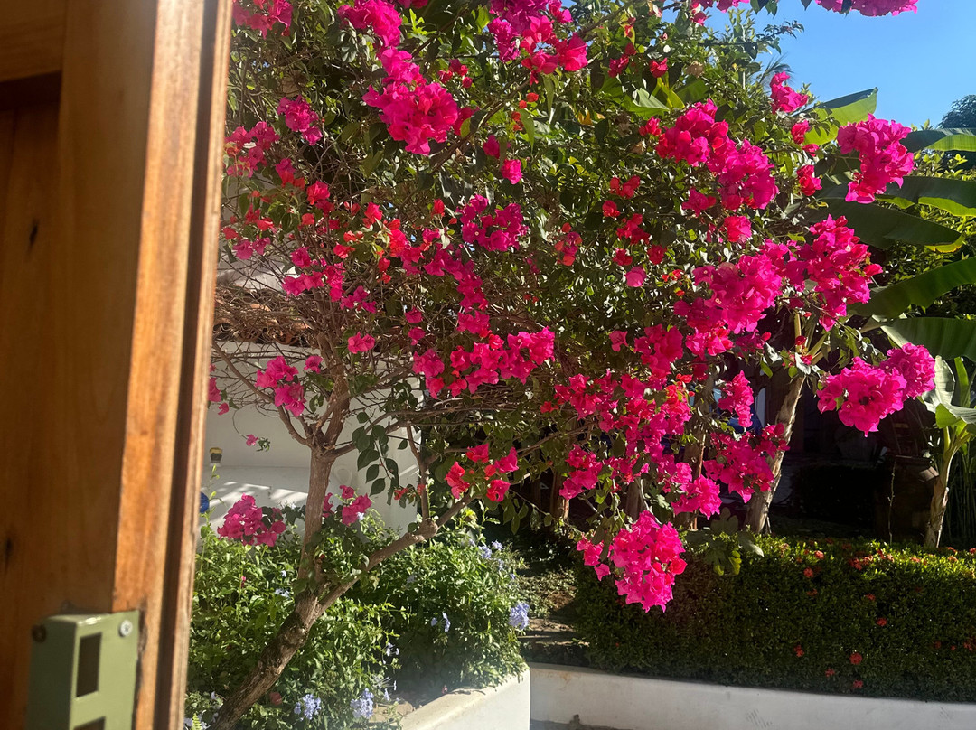 Casa De Los Amigos主图