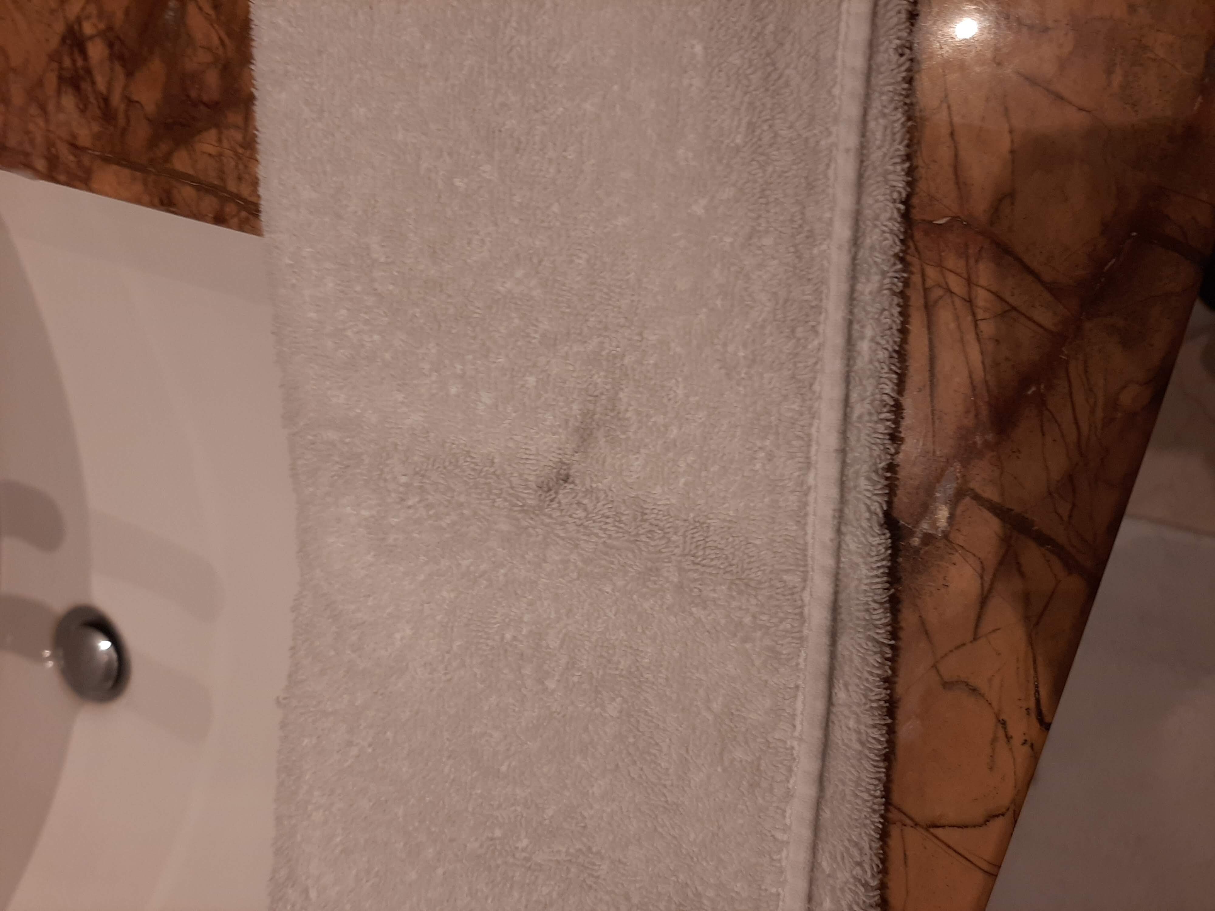 清奈里拉皇宫酒店-浴室