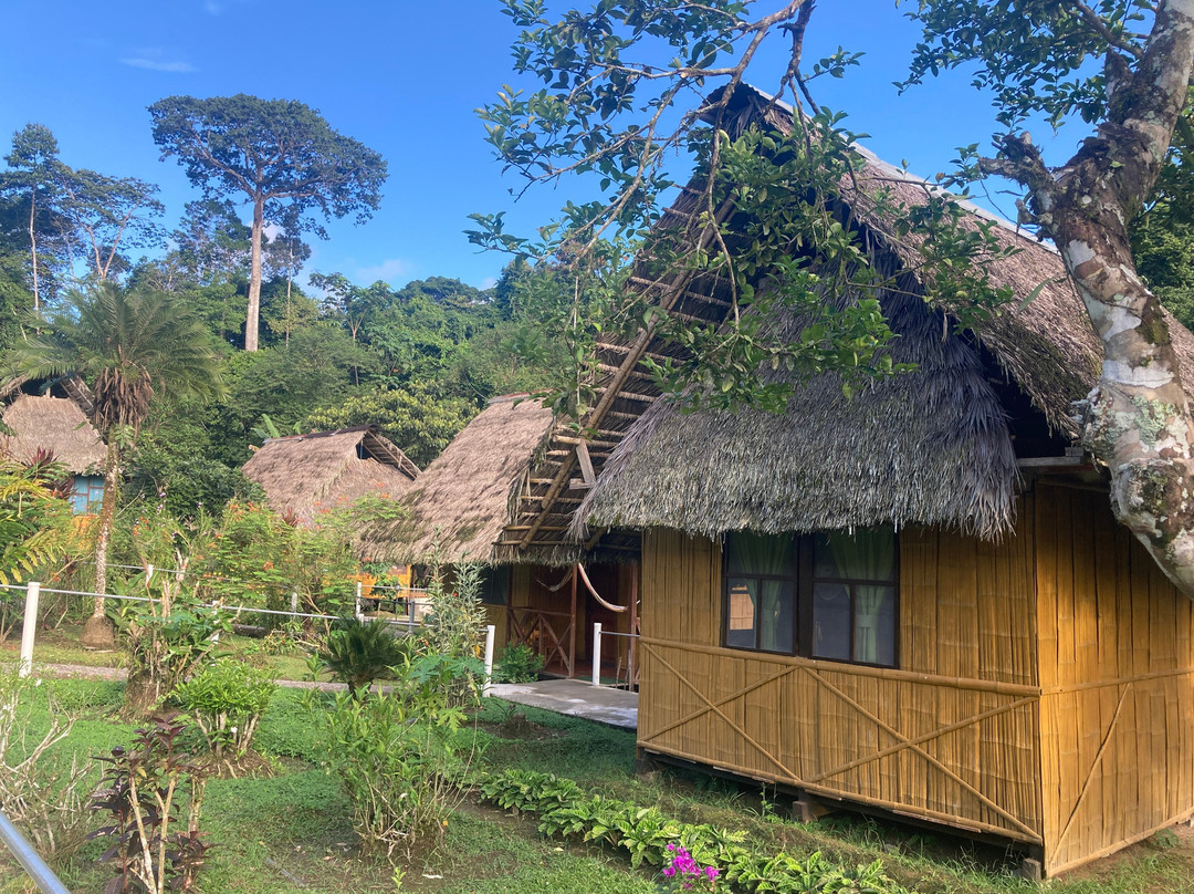 Yarina Eco Lodge主图