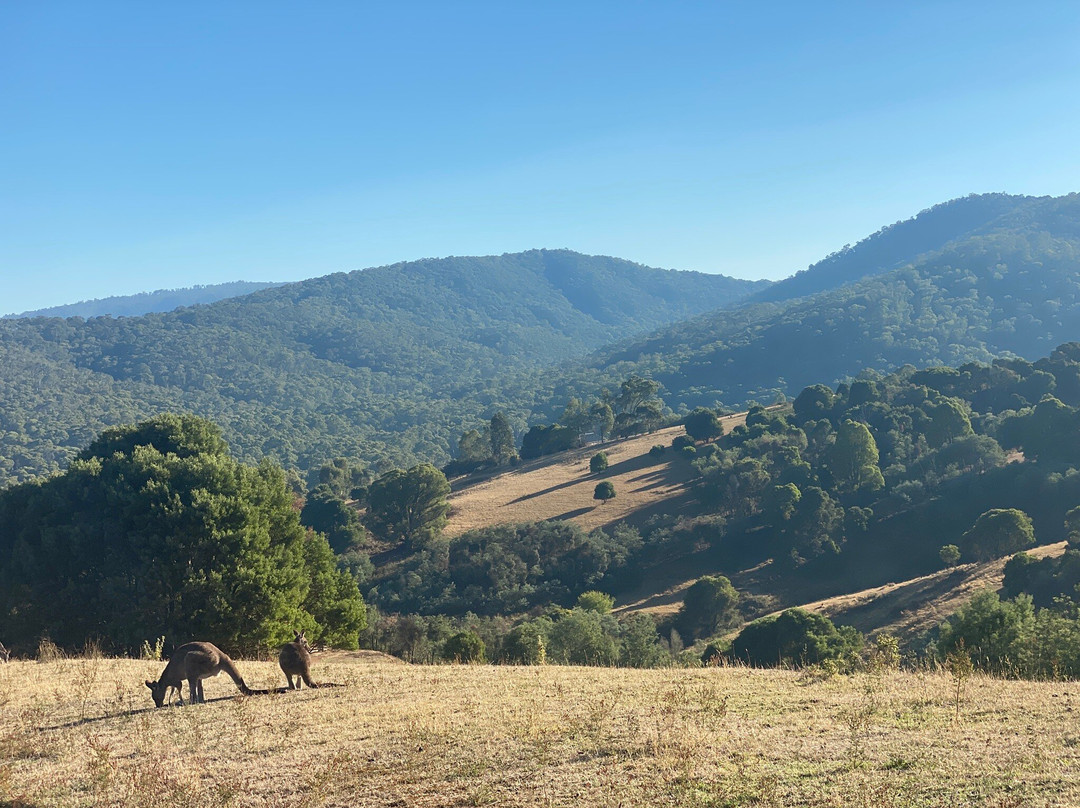 尖峰谷美诗铂高级服务公寓主图