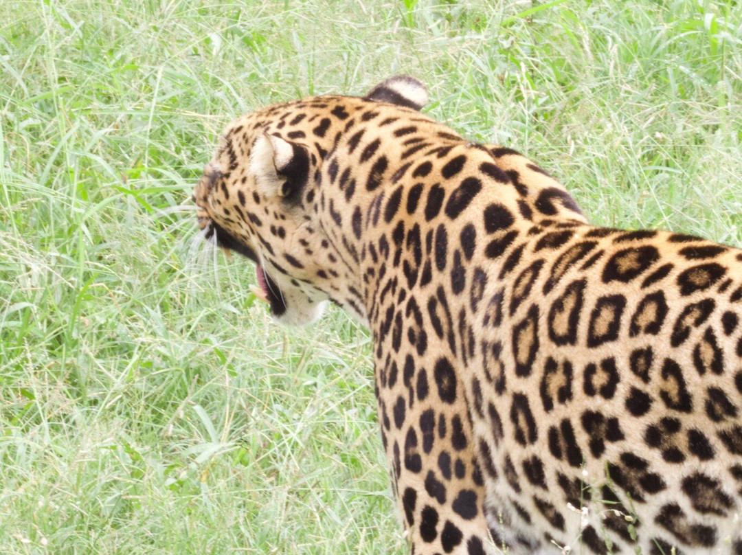 Bushbaby Adventures-伐拉博瓦必去景点