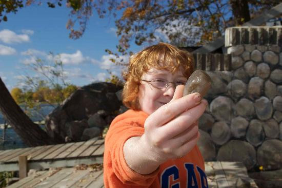 Bug-Bee Hive Resort主图