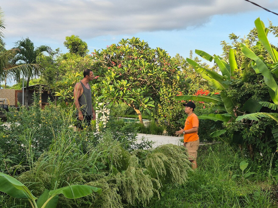 Eco Moringa Garden