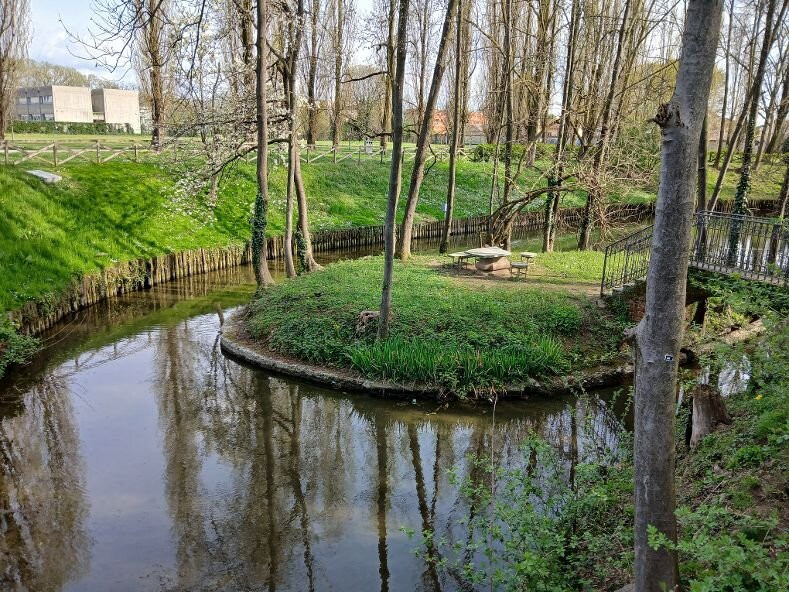 Parco Municipale景点图片