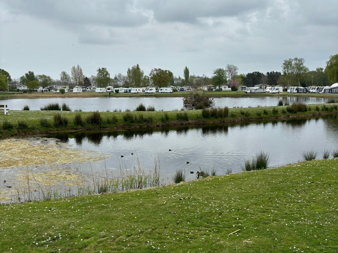 Willow Holt Caravan And Camping