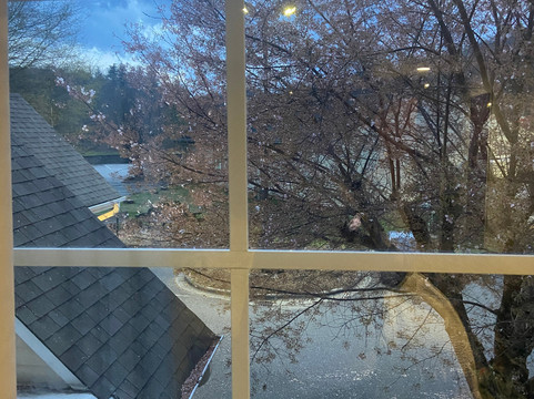 Microtel Inn & Suites By Wyndham Cherokee主图