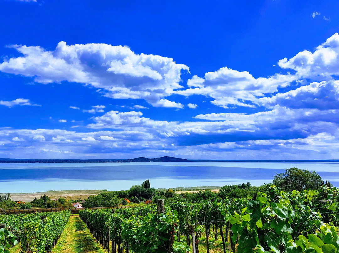 Folly Arboretum And Winery-Badacsonytomaj必去景点