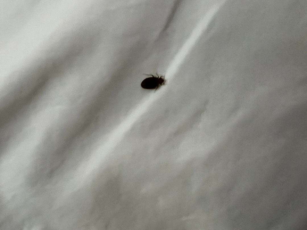 Hampton Inn Jackson/Pearl-Interntional Airport主图