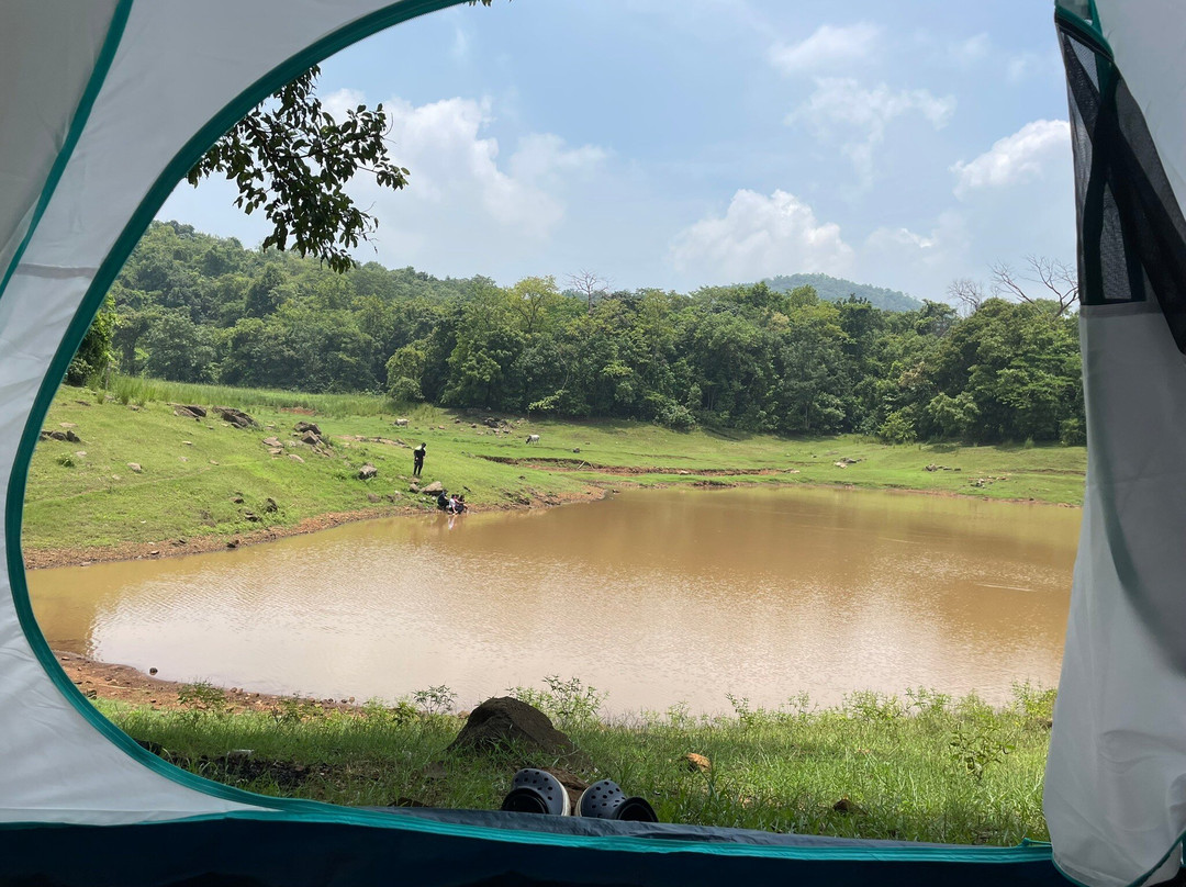 Dalma Wildlife Sanctuary景点图片