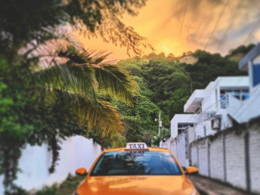 TM - Turismo Marcelo