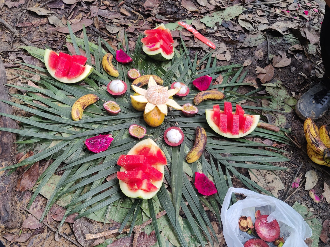 Bukit lawang orangutan trekking-武吉拉旺必去景点