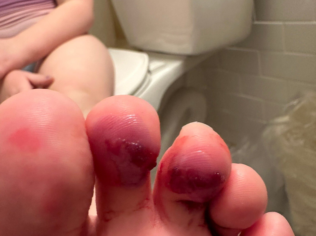 Hampton Village Inn主图