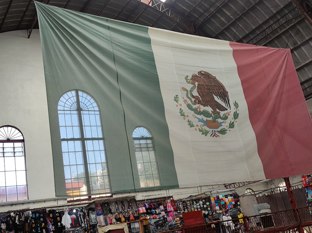 Museo Regional de Guanajuato Alhóndiga de Granaditas景点图片