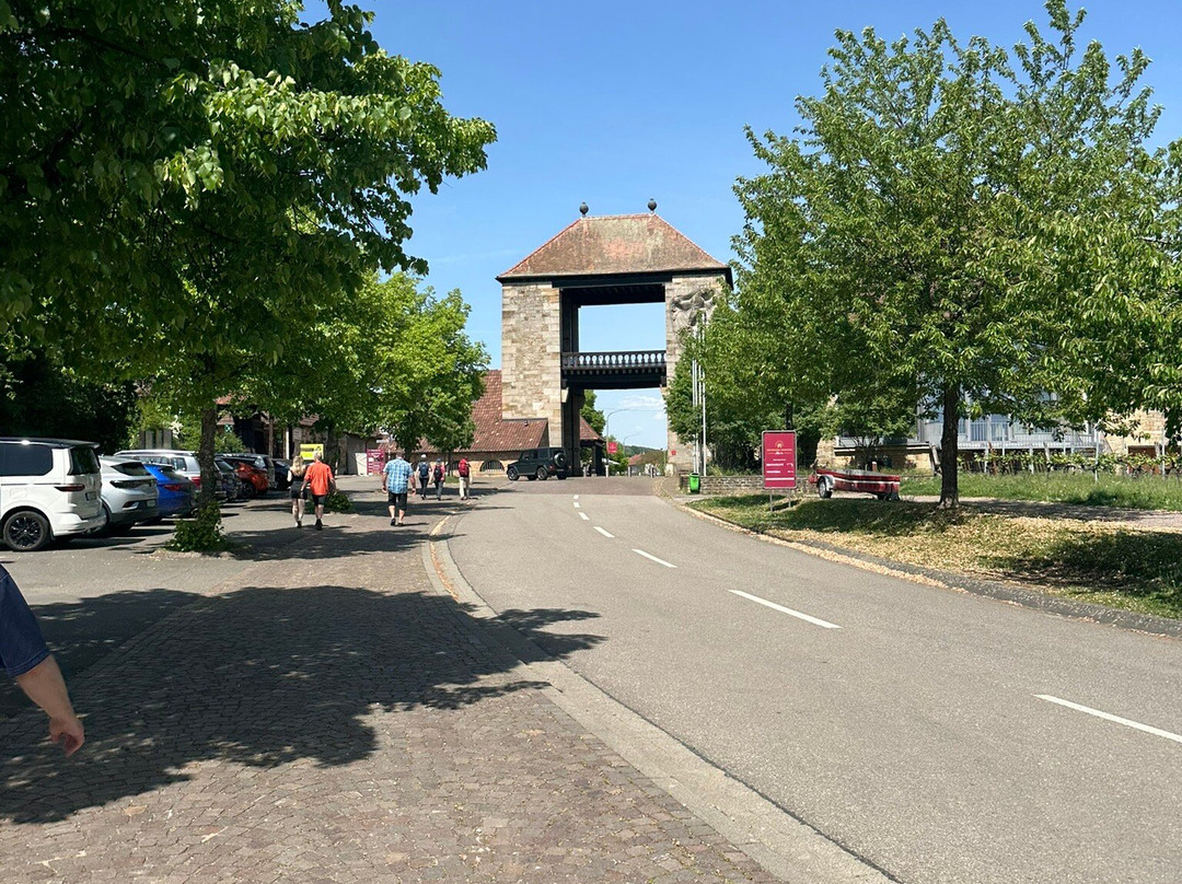Deutsches Weintor景点图片