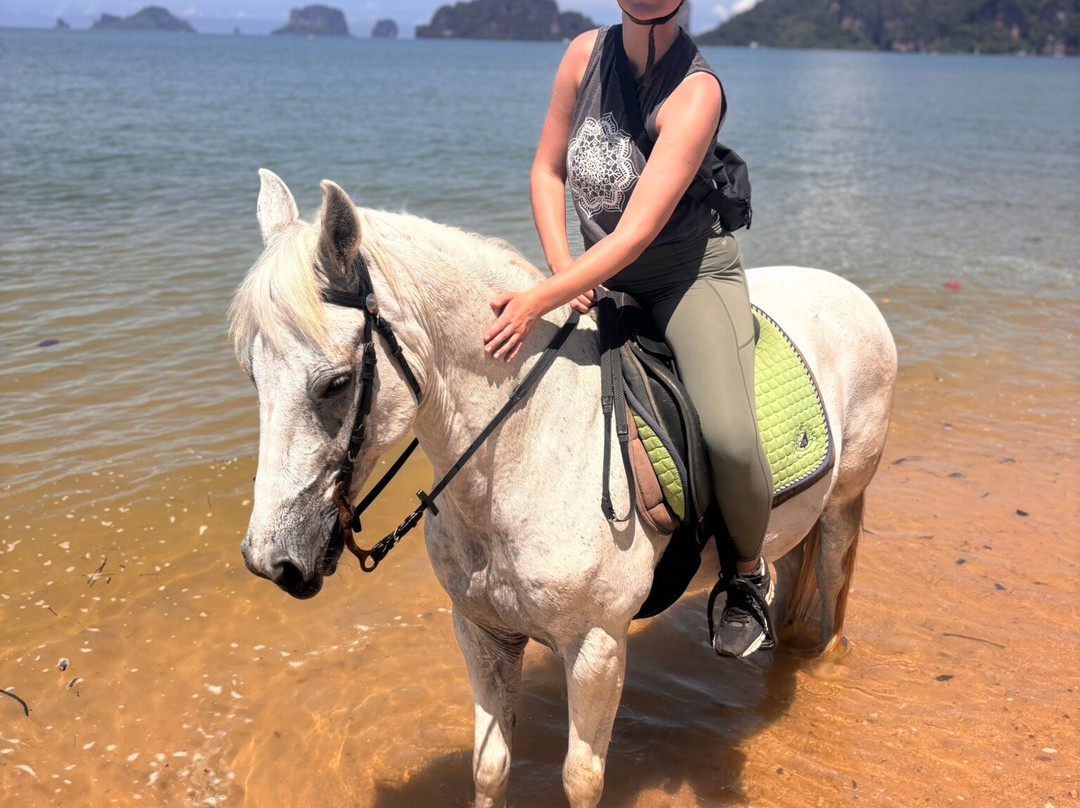 Krabi Nature Horse Riding-奥南必去景点