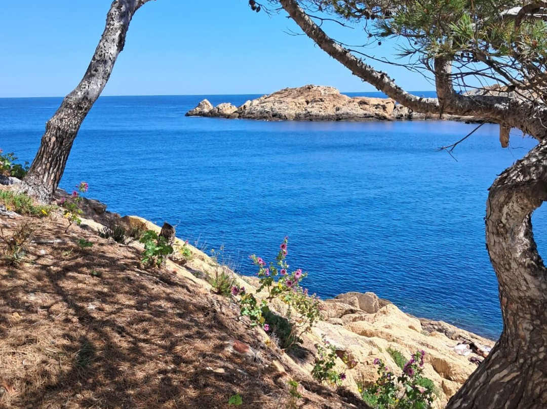Plage de Sa Tuna景点图片