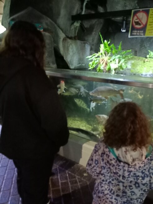 Lake District Coast Aquarium景点图片