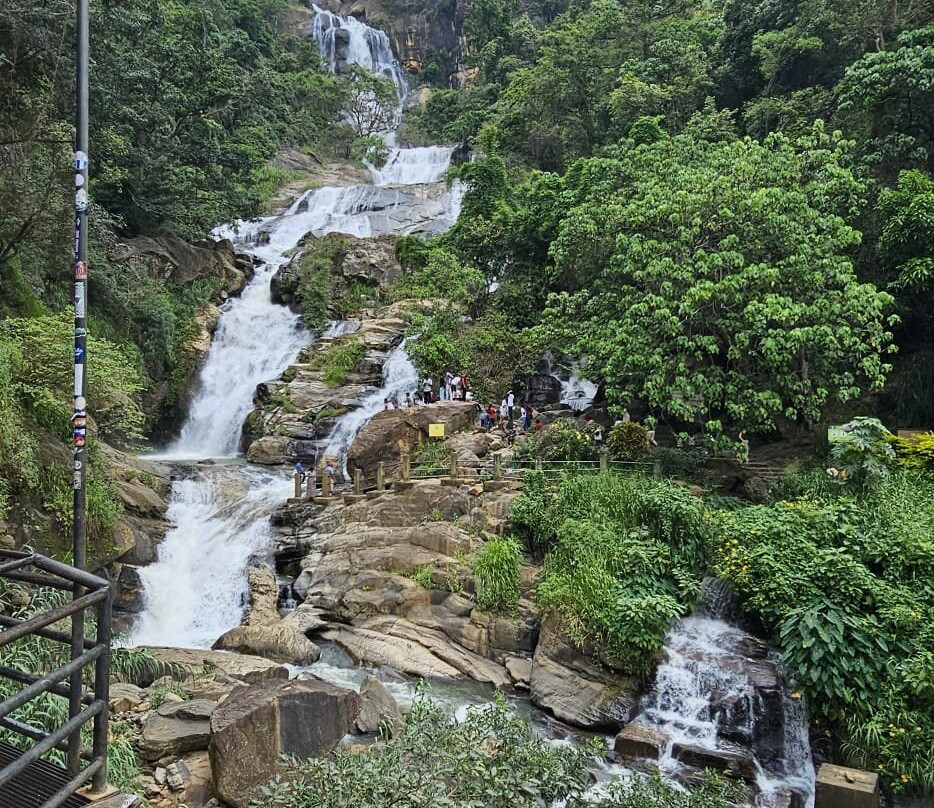 Piyara Tours景点图片