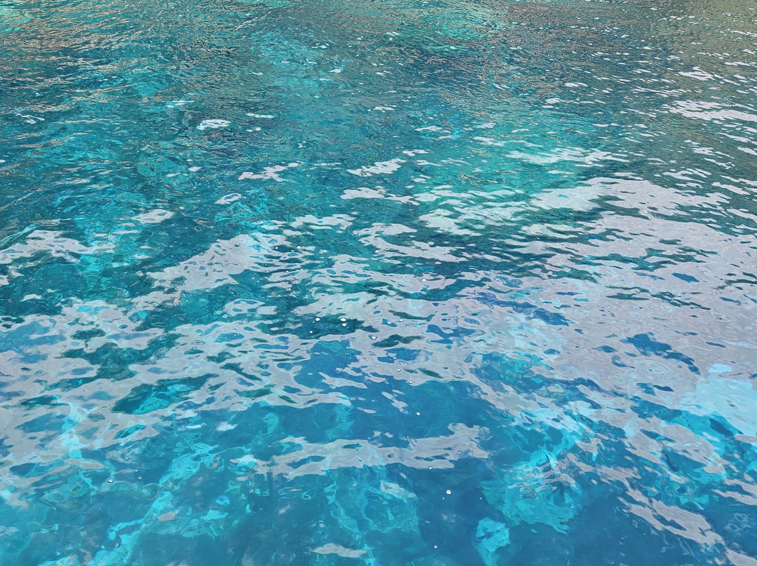 Petit Anse-Les Anses d'Arlet必去景点