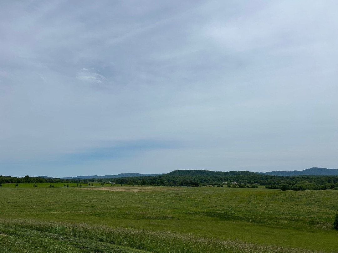 Chiswell Farm & Winery