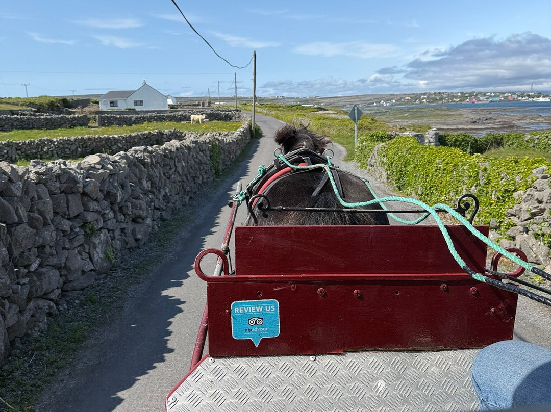 Inis Mor Horse Carriage tours-Inishmore必去景点