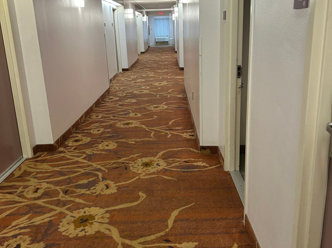 Best Western Oak Manor主图