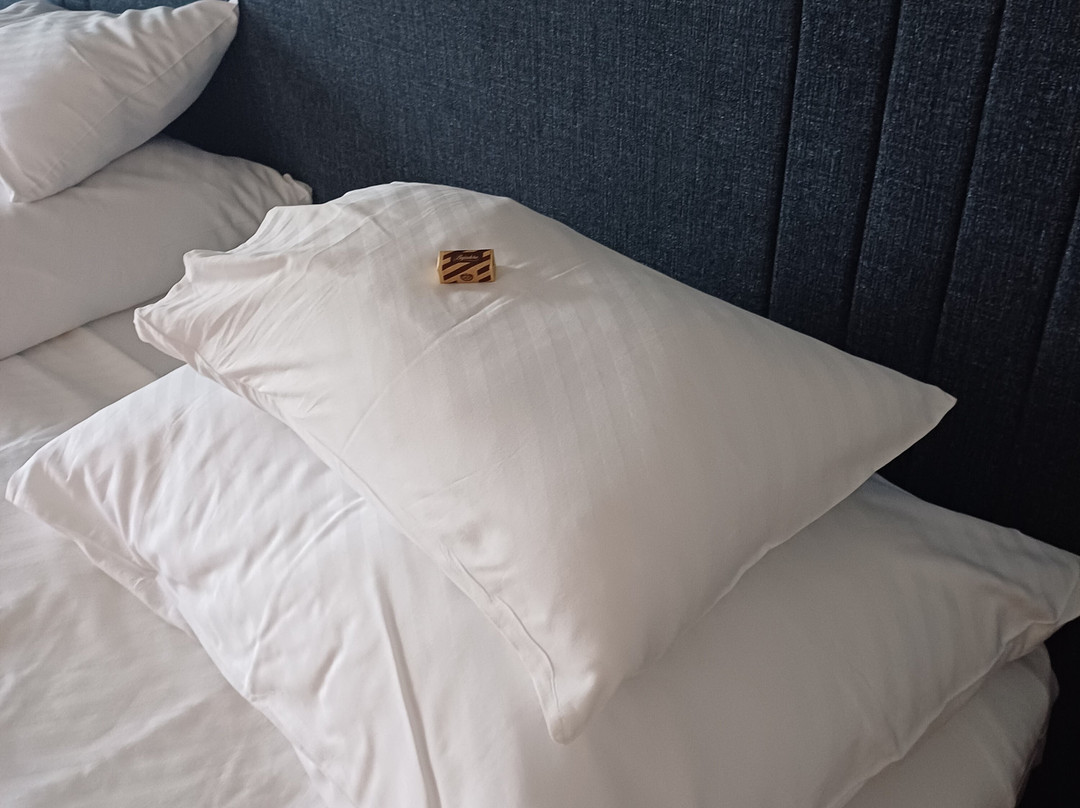 克罗地亚酒店主图