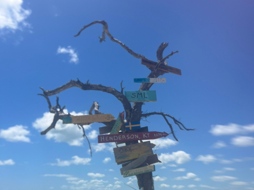 Xotic Island Charters-Cudjoe Key必去景点