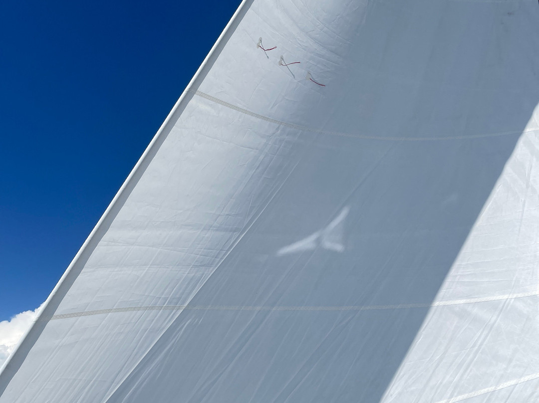 PHILISA APACA - Location & séjours en catamaran-Giens必去景点
