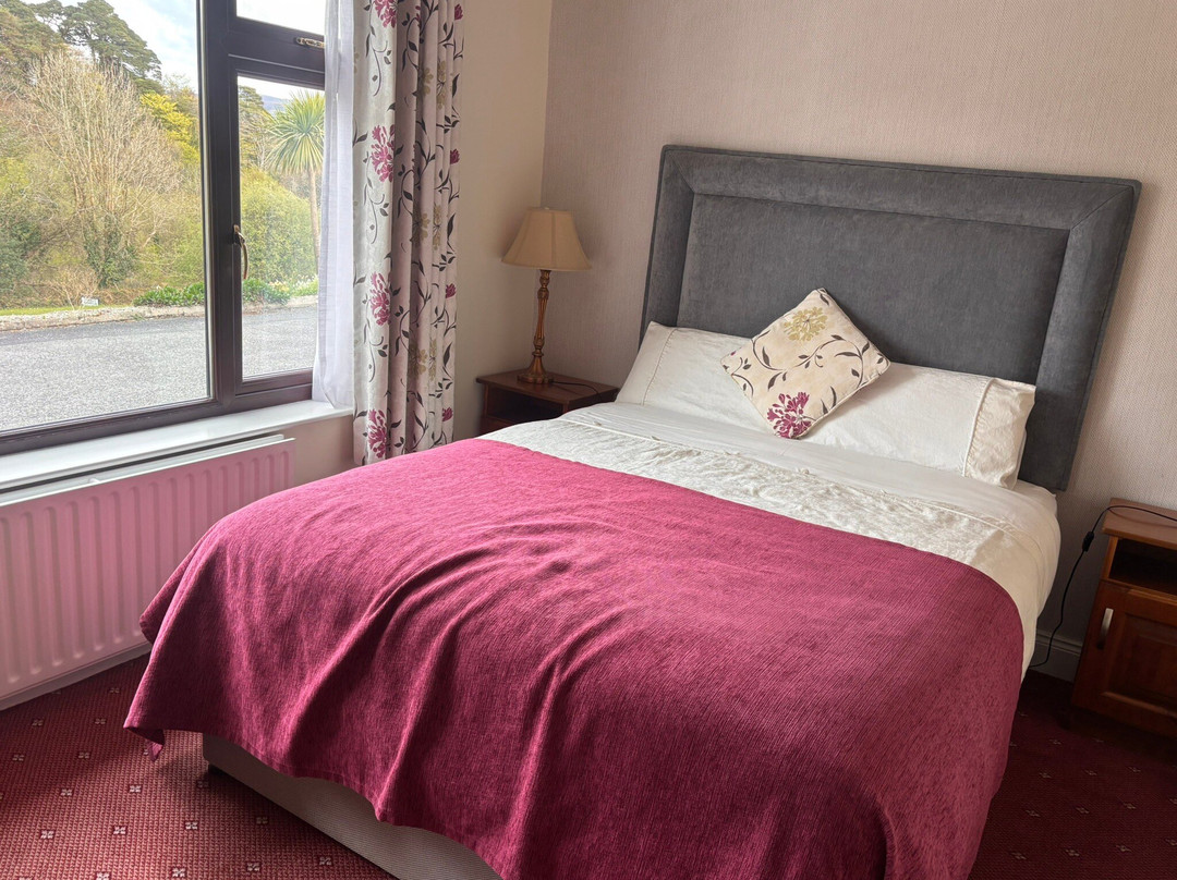 O'Shea's Ceol Na Habhann主图