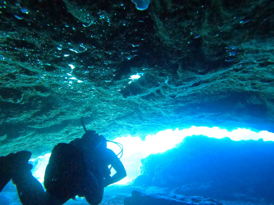 Alpha Divers-拉纳加必去景点